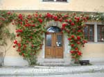 DSCN1790