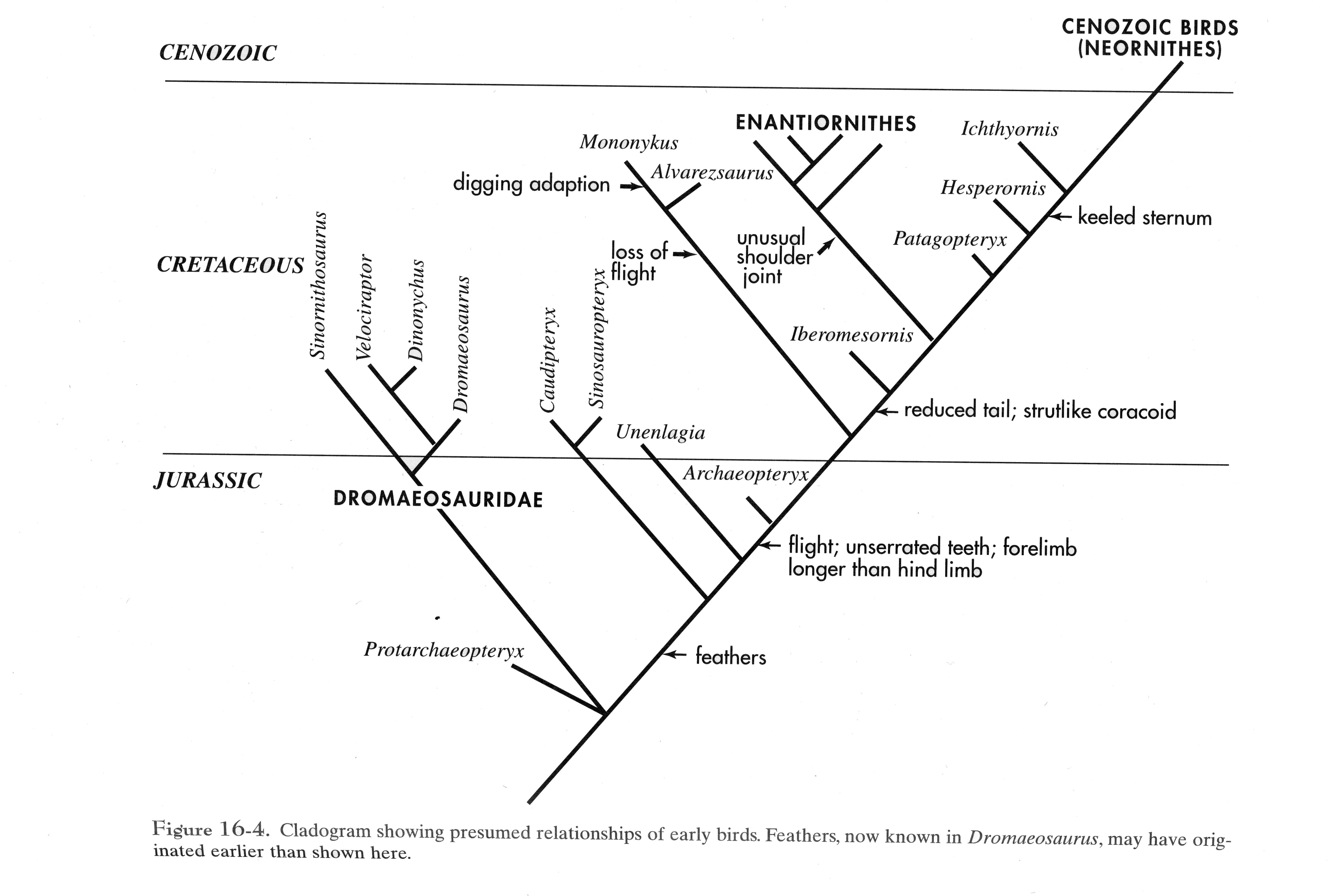Ancient Abacus, Modern Birds:  A Revolutionary Circuitry Discovery - zubhxe5