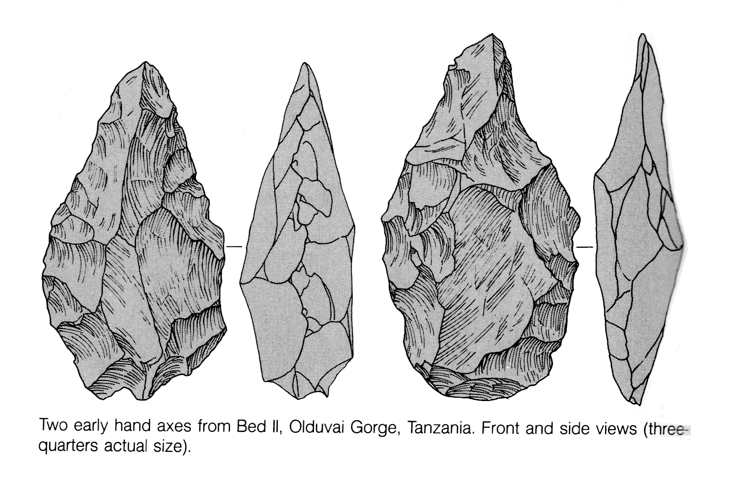 sumptuous-what-did-paleolithic-people-wear-2019-stone-age-stone-age