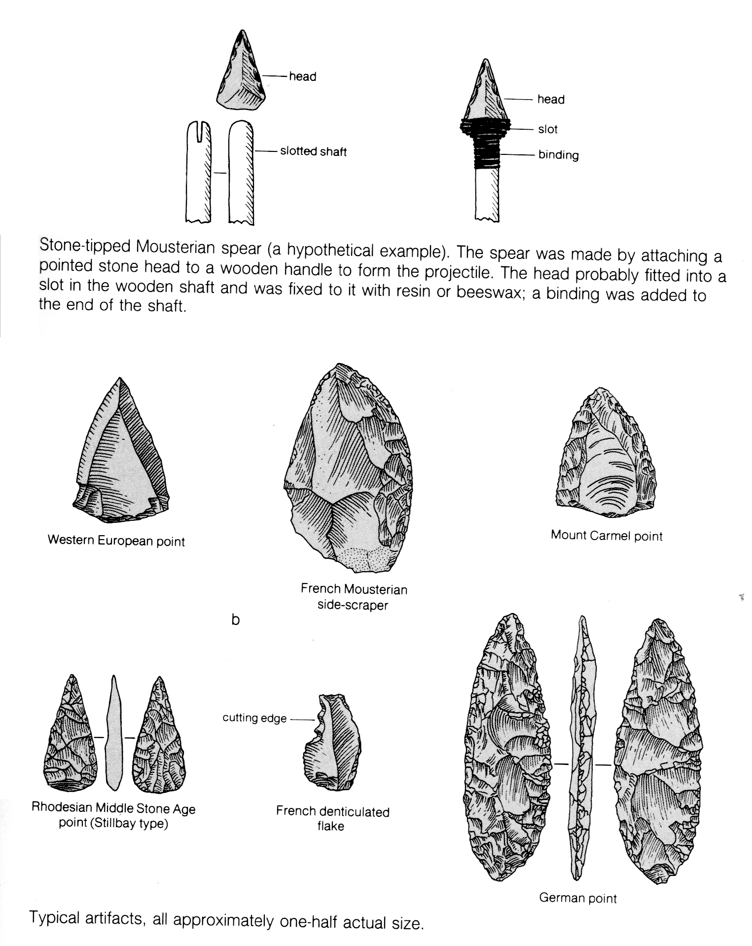 Paleolithic Tools