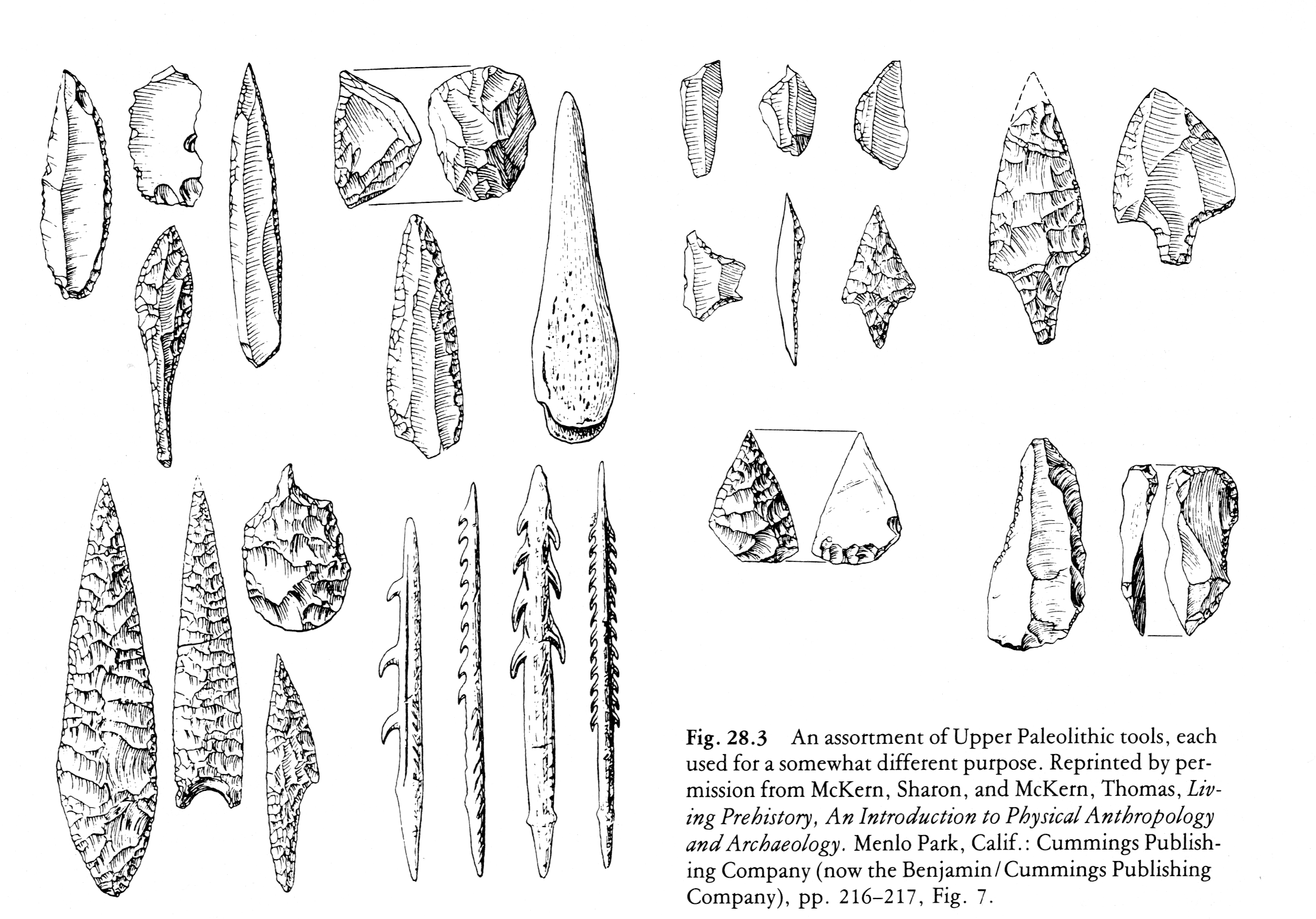 Paleolithic Tools