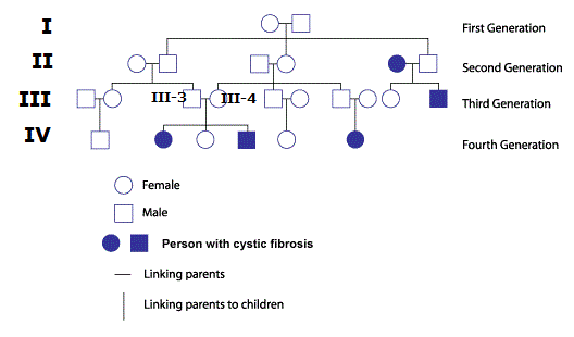 Cystic Fibrosis Pedigree Chart