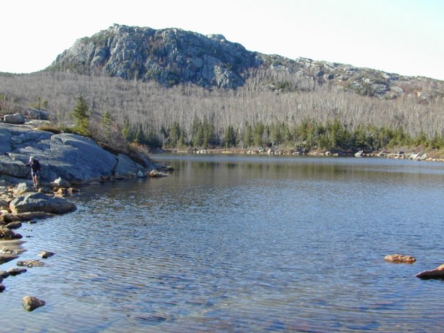 Photograph