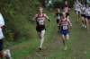 Photo Number 8