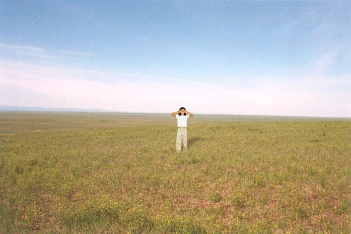 hidefield.jpg