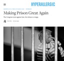 Hyperallergic. Drawing in a Time of Fear & Lies: Making Prison Great Again, May 26, 2018