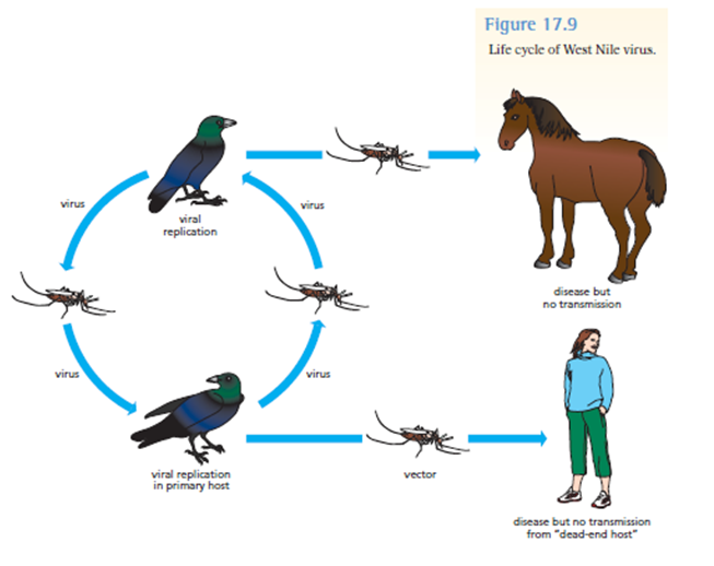 Emerging Infections