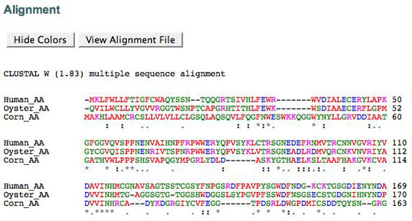 Alignment Results