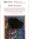 Maine Museum of Photographic Arts. MMPA Antidote: Interview, May 8, 2020