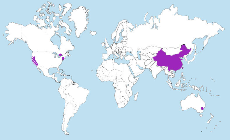 Chinese World Map