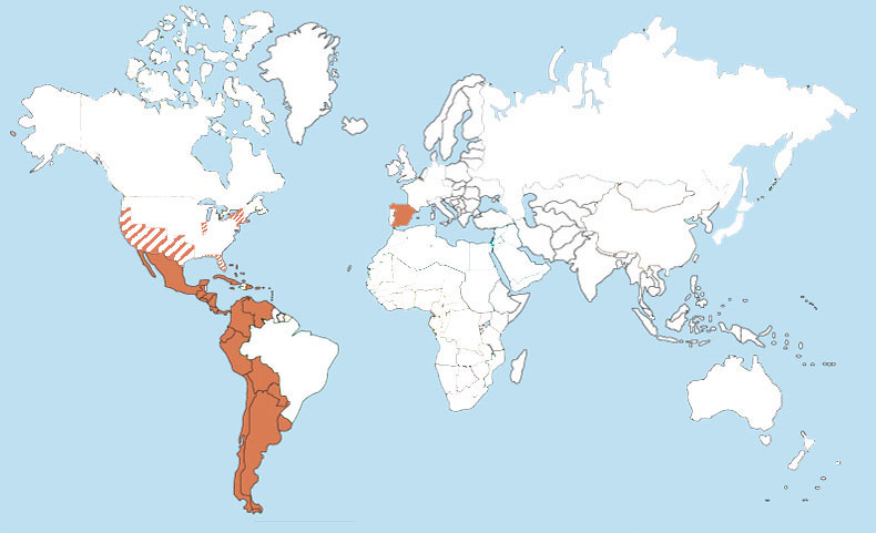 Spanish World Map